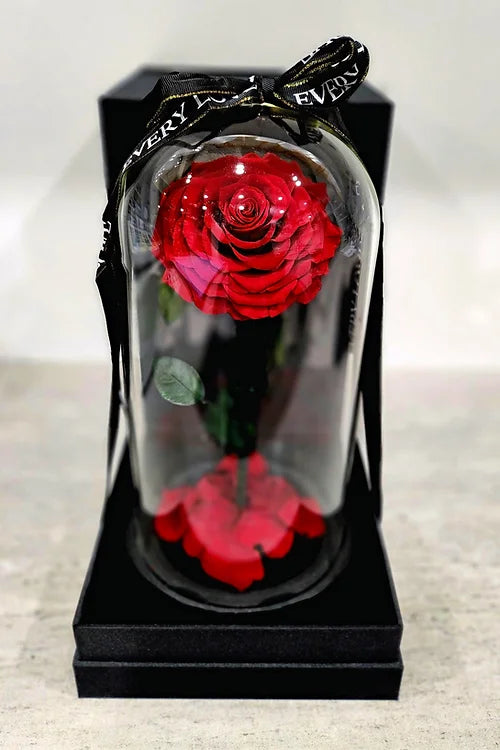 Preserved Rose