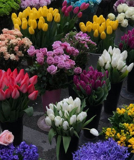 What Your Favourite Flower Quietly Reveals About Your Personality