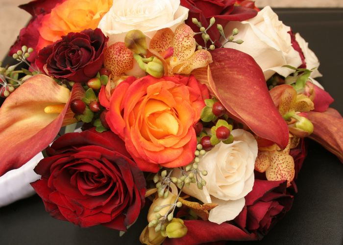 June Birth Flowers — The Meaningful Blooms Behind This Winter Month