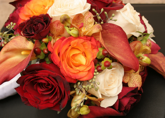 June Birth Flowers — The Meaningful Blooms Behind This Winter Month