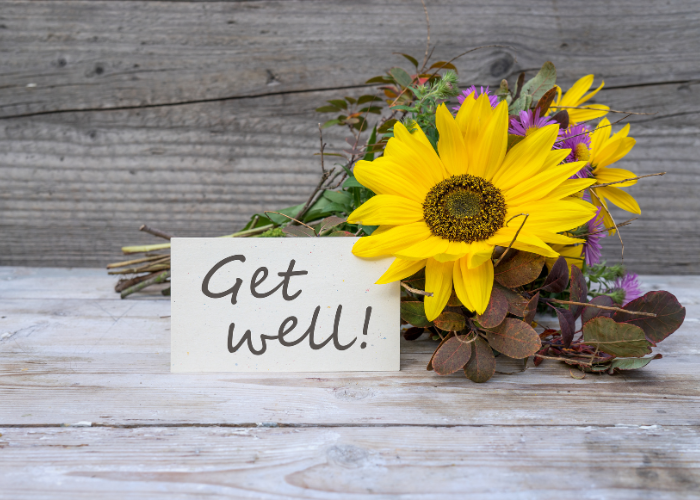 Get Well Soon Flowers - Flowers of Knox